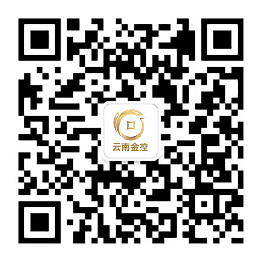 武漢高壓電機(jī)修理